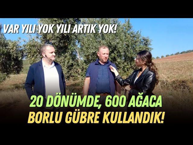 20 Dönümde, 600 Ağaca Borlu Gübre Kullandık! / Var Yılı Yok Yılı Artık Yok!