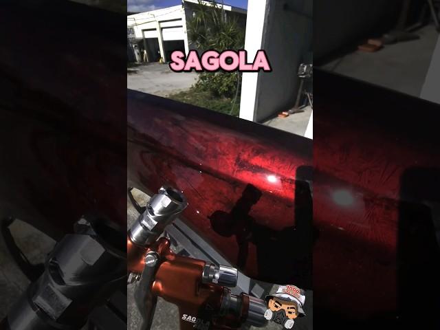 ALL NEW SAGOLA 4600 SPRAY GUNS