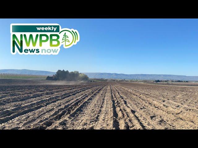 NWPB Weekly News Now - May 10, 2024