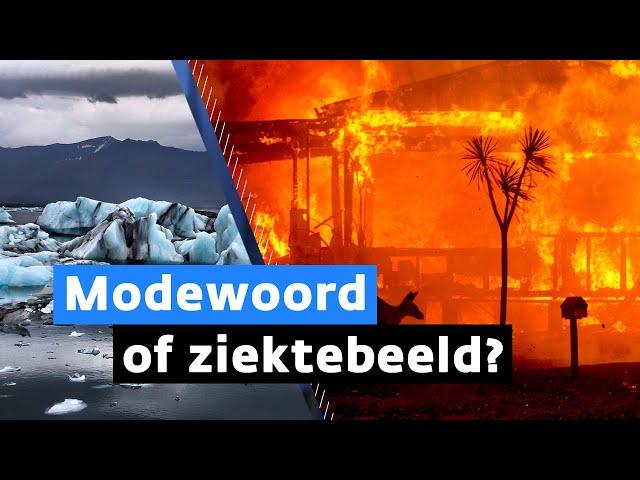 Ecorexia en klimaatstress: deze woorden ga je vaker horen | NIEUWSUUR