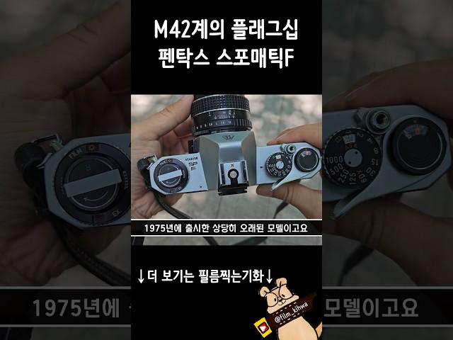 누가 봐도 수동필름카메라 펜탁스 스포매틱F / PENTAX SPOTMARIC F
