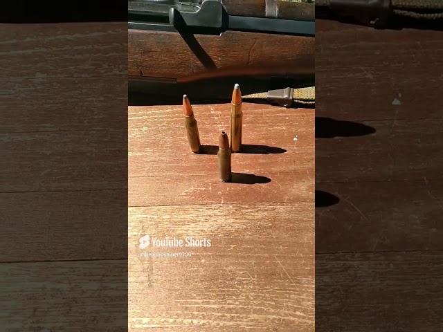 Hollowpoint Rifle Ammo