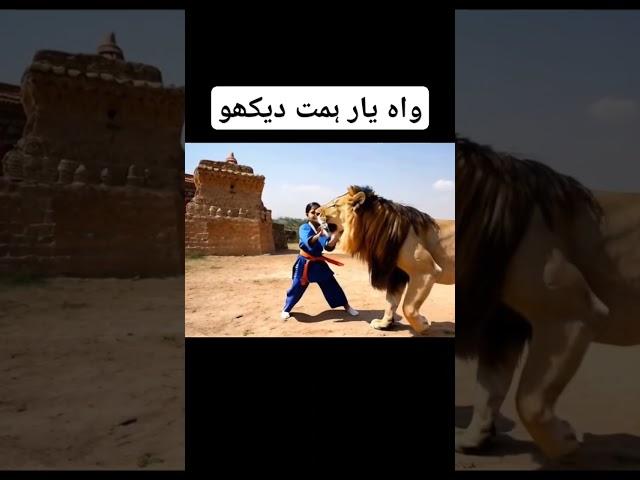 Wow #lion #kids