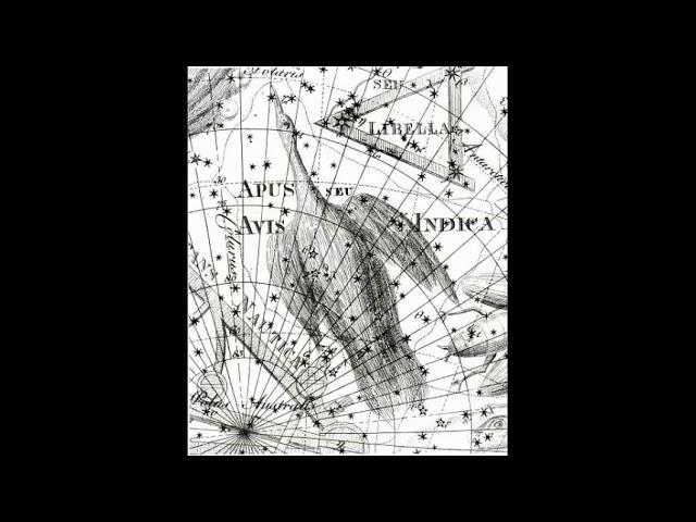 Apus - The Bird Of Paradise [Audio]