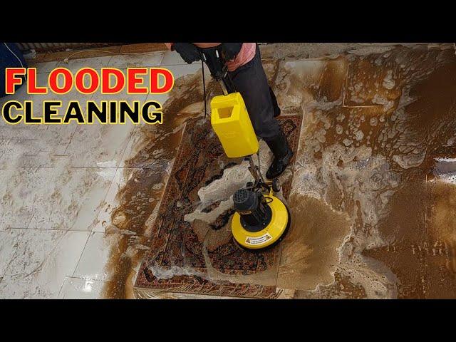 Reviving a Flooded Carpet cleaning : A Satisfying Cleaning Transformation