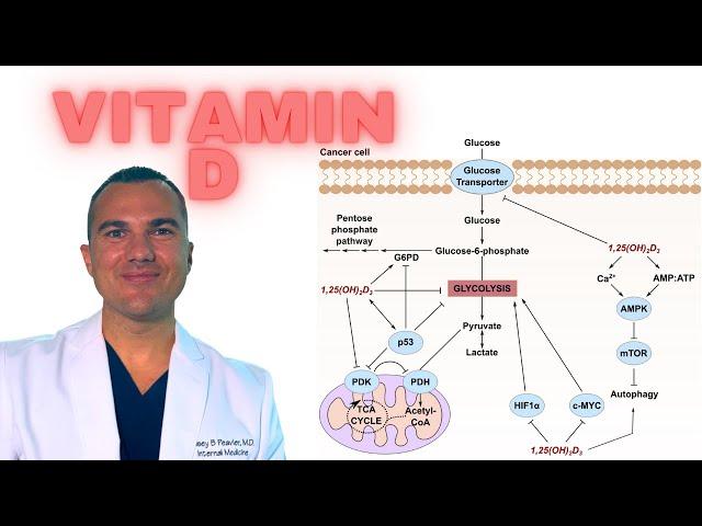 Vitamin D KILLS Cancer: INHIBITS Glucose Uptake & Metabolism