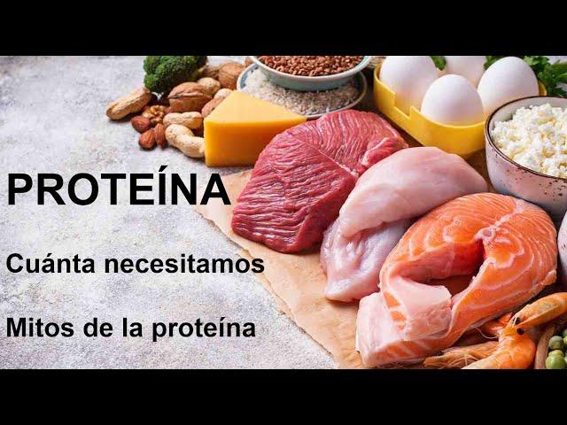 PROTEÍNA: Cuánta necesitamos. Los mitos de tomar "demasiada proteína"