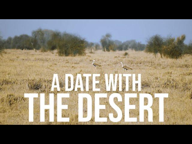 A Date with the Desert
