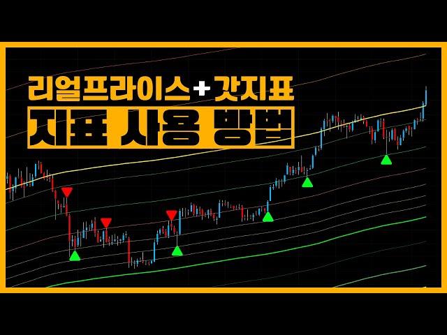 코인 주식의 실제 가치를 알려주는 리얼프라이스 지표 사용방법