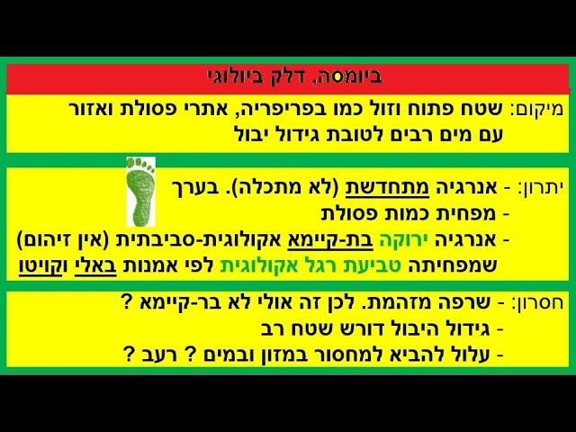 ביומסה, דלק ביולוגי, ביו-אנרגיה: בת-קיימא ומתחדש (?) מצמחים ושרפת פסולת. גרסה בינונית באורכה. ג"ג
