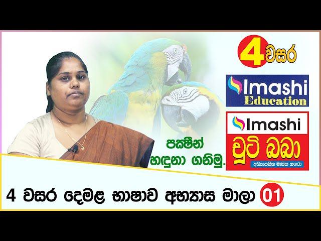 Grade 04 - Tamil - lesson - 01 | 4 වසර දෙමළ භාෂාව - 01 | පක්ෂීන් හඳුනා ගනිමු | Imashi Education