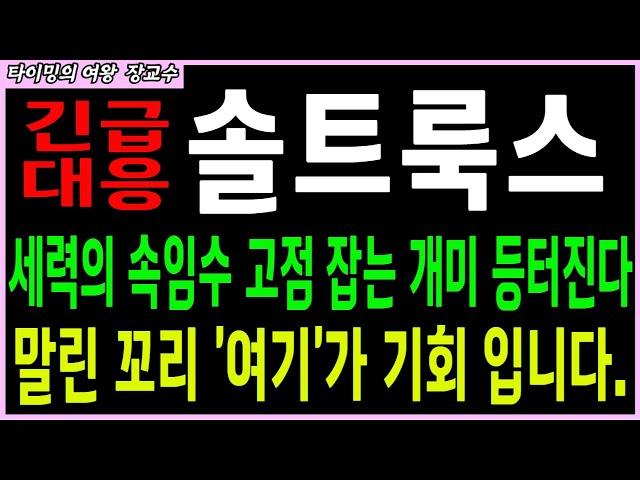 [솔트룩스 주가전망 ] 세력의 속임수 고점 잡는 개미등 터진다! 말린 꼬리 '여기가' 기회 입니다.