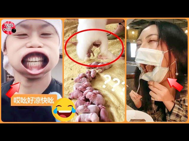 Tik Tok Funny  Interesting Funny Moments on Chinese Tik Tok Million View  #32