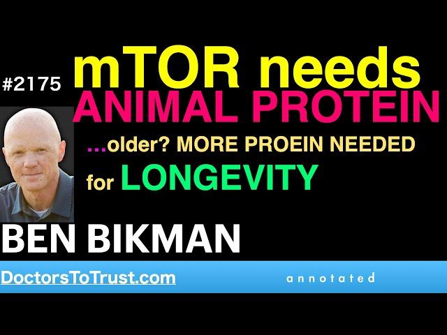 BEN BIKMAN r1 | mTOR needs ANIMAL PROTEIN. …older?  MORE PROEIN NEEDEDfor LONGEVITY