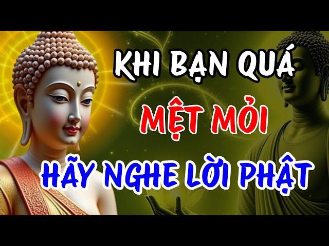 Khi Mọi Thứ Chống Lại Bạn - Ngồi Xuống và Nghe Lời Phật Dạy
