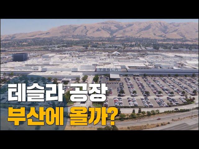 한 해 2백만대 생산, 테슬라 공장 부산 유치 가능할까? Tesla