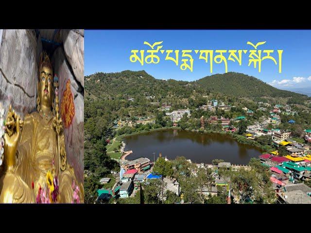 A Visit To Tso Pema Again // Family Trip Rewalsar #tibetanvlogger