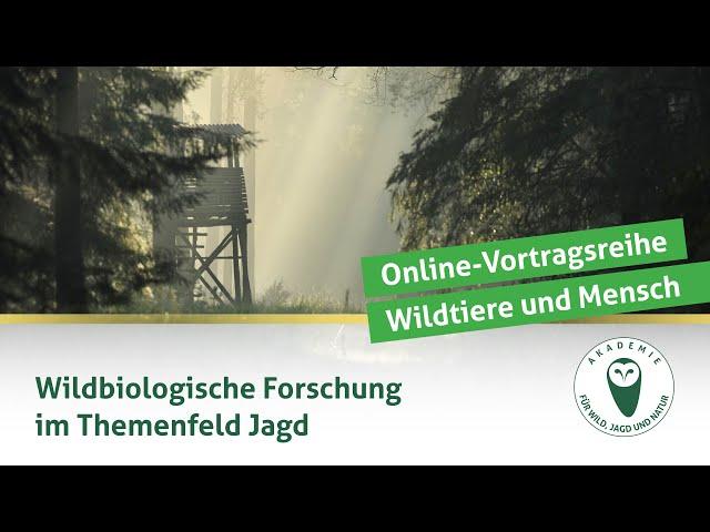 DJV-Online-Vortragsreihe "Wildtiere und Mensch" | Wildbiologische Forschung im Themenfeld Jagd