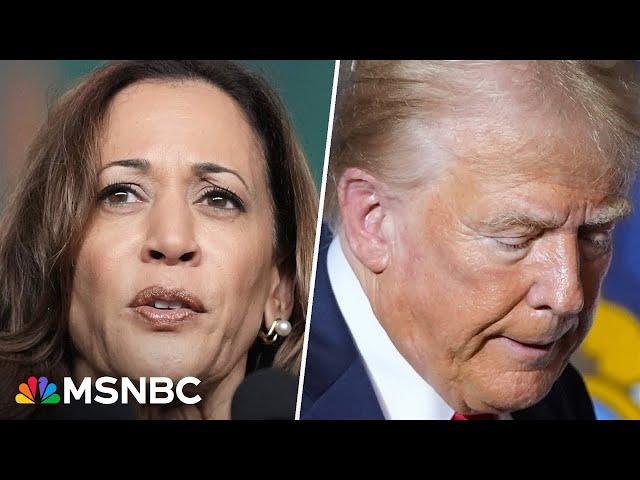 Harris leading Trump by six points in new 2024 polling