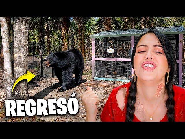 REGRESA EL OSO y ME CAIGO  Sucede de TODO en La Finquita Bonita  Sandra Cires Vlog