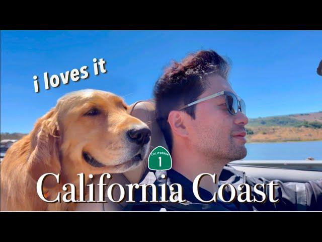  MY DOG’s WEST COAST Road Trip: Highway 1 | Tomales Bay | NAPA | GOLDEN GATE Bridge | San Fran