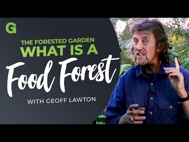 The Forested Garden: What is a Food Forest?