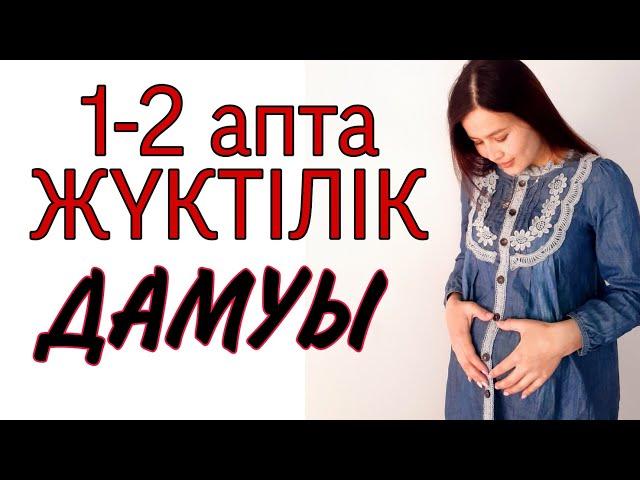 1-2 апта Жүктилик. ЖҮКТІЛІК КҮНТІЗБЕСІ. ЖҮКТІЛІК МЕРЗІМІ.