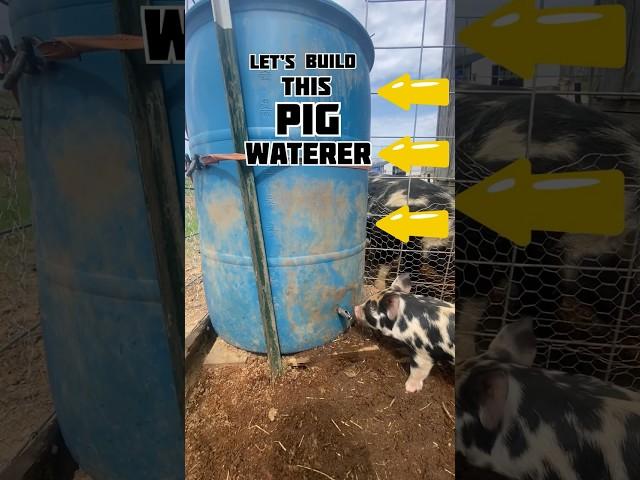 Let’s Build A Pig Waterer