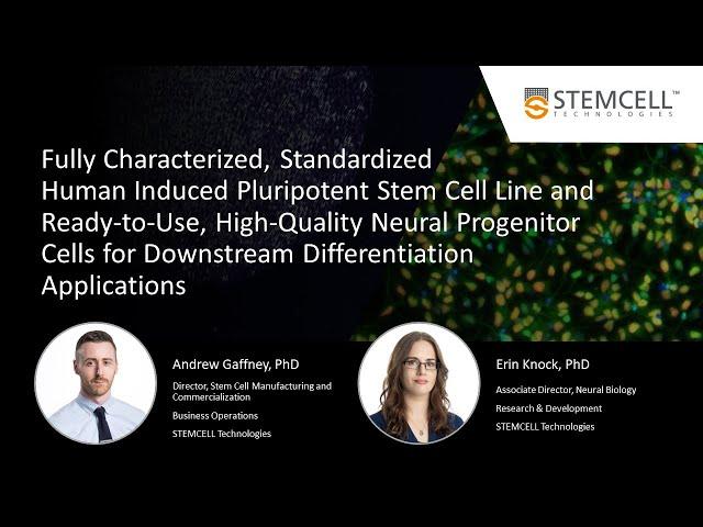 A Human iPSC Line and Neural Progenitor Cells for Downstream Differentiation Applications