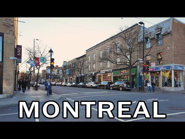 Montreal Walk from La Fontaine Park to Mont-Royal metro - November 2024