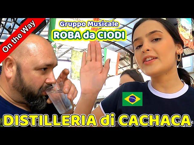 #152 DISTILLERIA  di CACHACA nella FORESTA Brasiliana !!! Diretta radio e INCONTRO i ROBA da CIODI