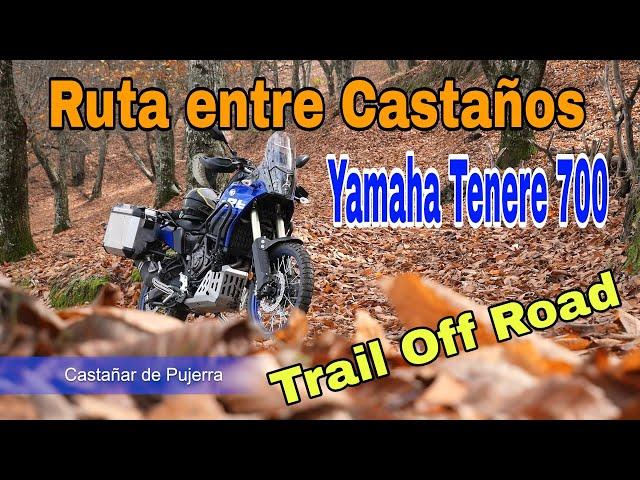 Ruta entre CASTAÑOS - Serranía de MÁLAGA - Yamaha Tenere 700 - 2024