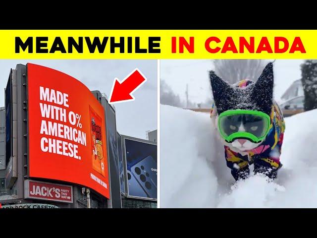 Photos That Prove Canada Is Different From The Rest Of The World ▶ 2