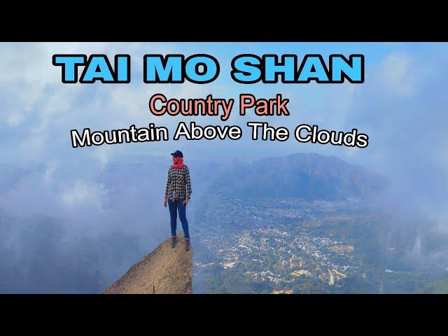 SOLO HIKING ⁉️ Tai Mo Shan Highest Peak in Hong Kong And The Route Full Guide