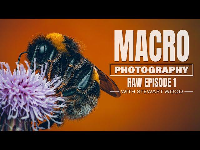 Macro Photography RAW - Episode 1 Tackeroo Pools