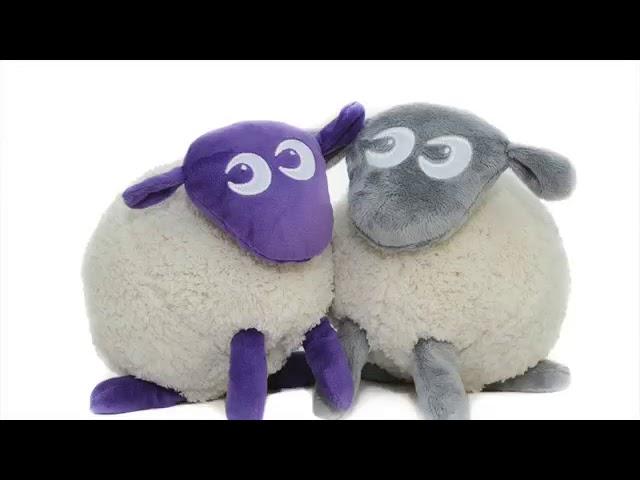 Ewan the Dream Sheep