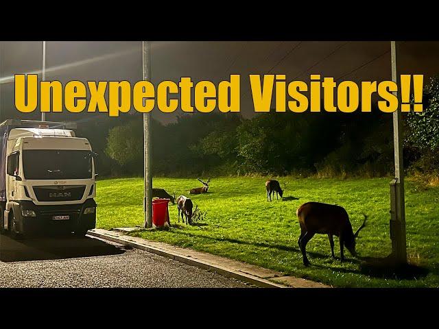 Unexpected Visitors | Vlog 266