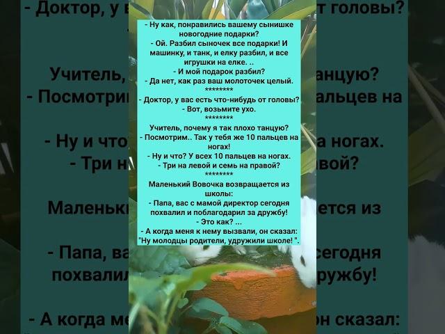 ПОДБОРКА  ЗАБАВНЫХ АНЕКДОТОВ  #анекдоты #Юмор #История #Жизнь #Анекдот #Прикол #США