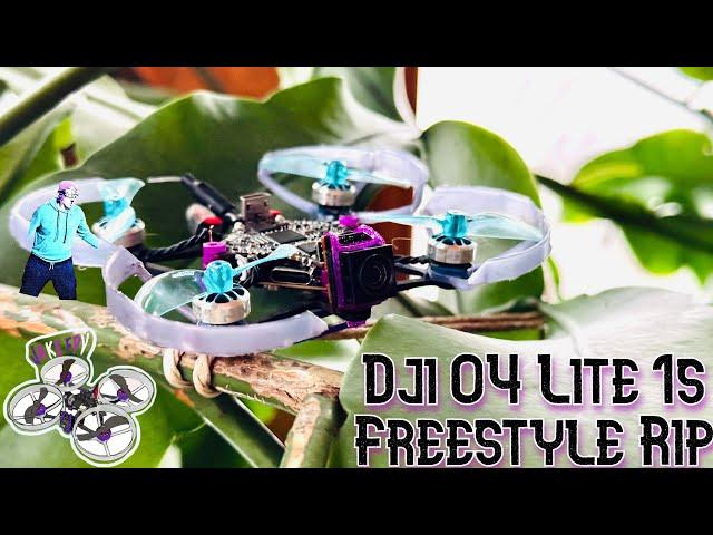 DJI 04 lite 1S on a f75 || Indoor Freestyle