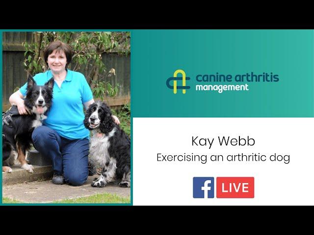 CAM LIVE:  Exercising an arthritic dog with Kay Webb