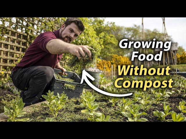 How to Grow Food WITHOUT Compost | Zero-Cost Solutions for Short-Term Vegetable Gardening Success