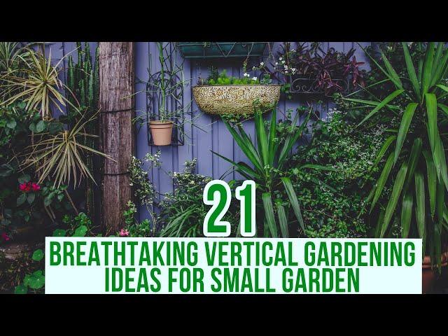 21 Breathtaking Vertical Gardening Ideas for Small Gardens: Our Top Picks