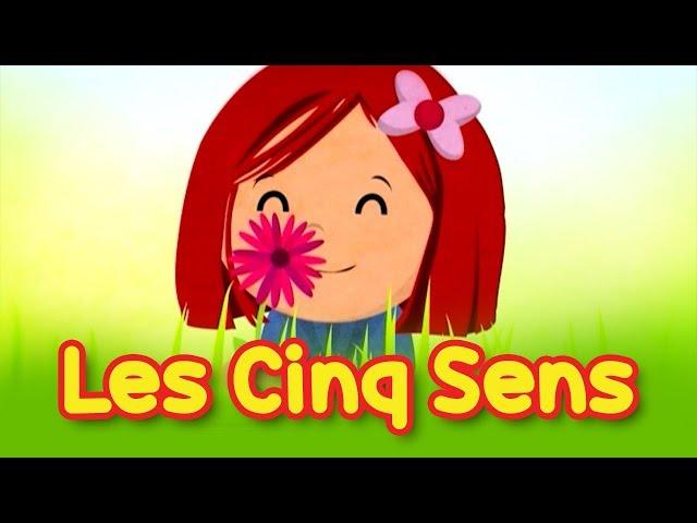 Les cinq sens - "Les Oiseaux du Paradis" Bébé