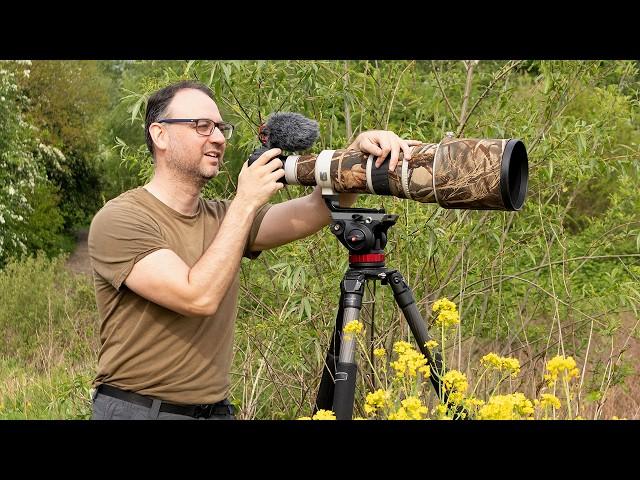 A Bird Photography Vlog - My Tips For Photographing Warblers