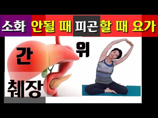 소화 안될때 피곤할때 위 췌장 간 튼튼하게 하는 요가 Liver Pancreas Stomach yoga