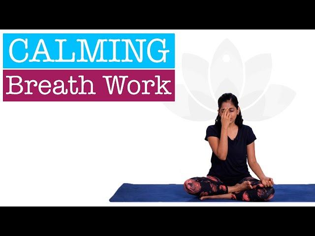 Daily Breathing Exercises to Calm down and Relax | De-Stress with Pranayamas | Yogalates with Rashmi