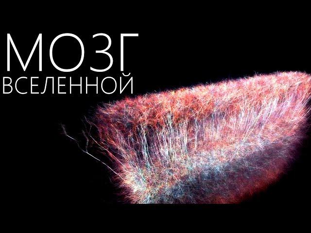 ВСЕЛЕННАЯ КАК НЕЙРОСЕТЬ [Может ли у Вселенной быть сознание?]