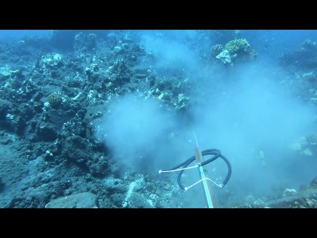 My first Awa | Hawaii Spearfishing 2020