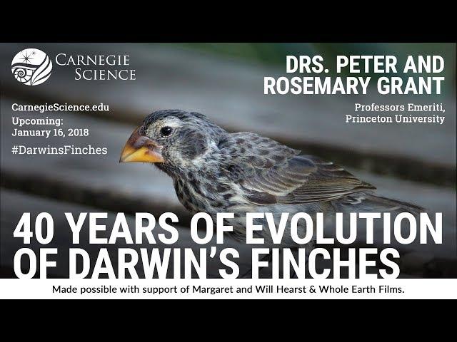 40 Years of Evolution of Darwin's Finches