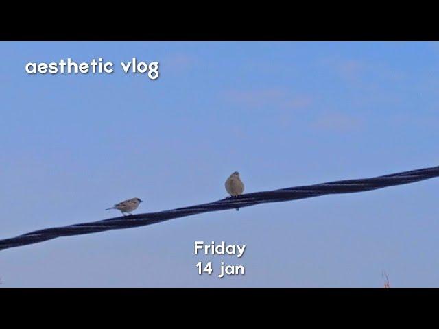 friday aesthetic vlog | adb vlogs